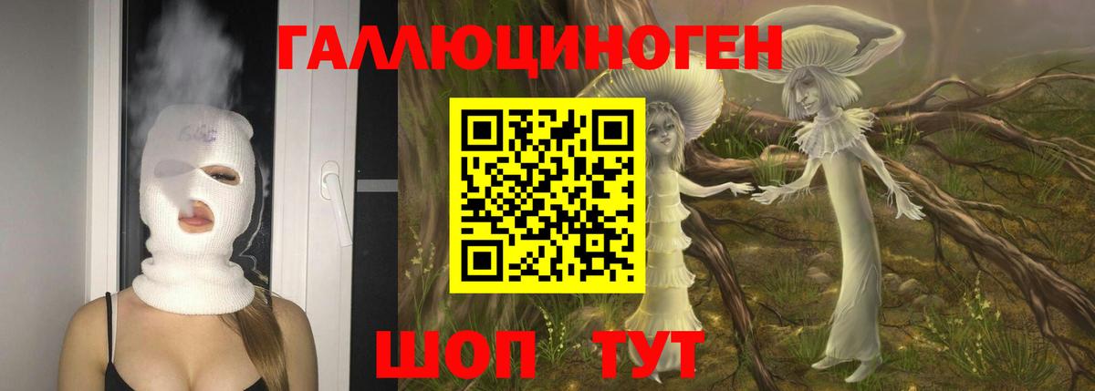 Псилоцибиновые грибы Psilocybine cubensis  хочу наркоту  Улан-Удэ  Вход с VPN 